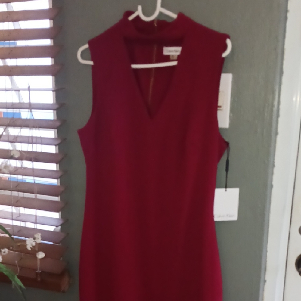 Calvin Klein Deep Red Sleeveless Mini Dress